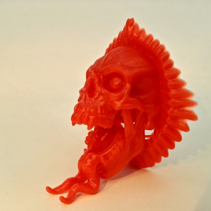 Community Print 3D Print of Skull Tongue
