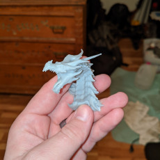 Picture of print of Alduin dragon Bust This print has been uploaded by C. Atkinson