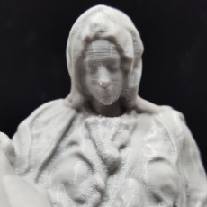 Picture of print of Pieta in St. Peter's Basilica, Vatican 这个打印已上传 Spectra3D Technologies