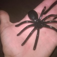 Picture of print of Spider