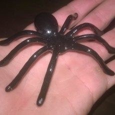 Picture of print of Spider