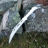 Tauriels Daggers from The Hobbit print image