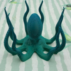 Picture of print of Octopus