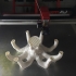 Octopus print image