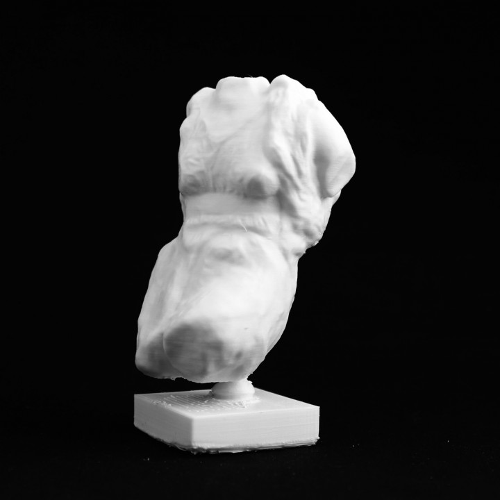 Amphitrtite - Elgin Marble, at The British Museum, London
