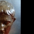 Bronze Head of Augustus print image