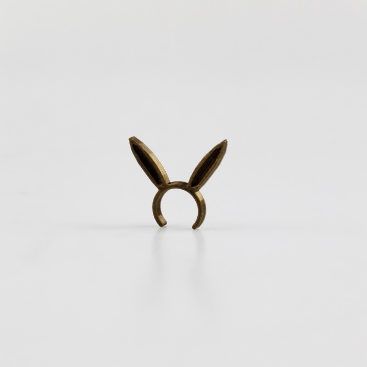 Rabbit ring