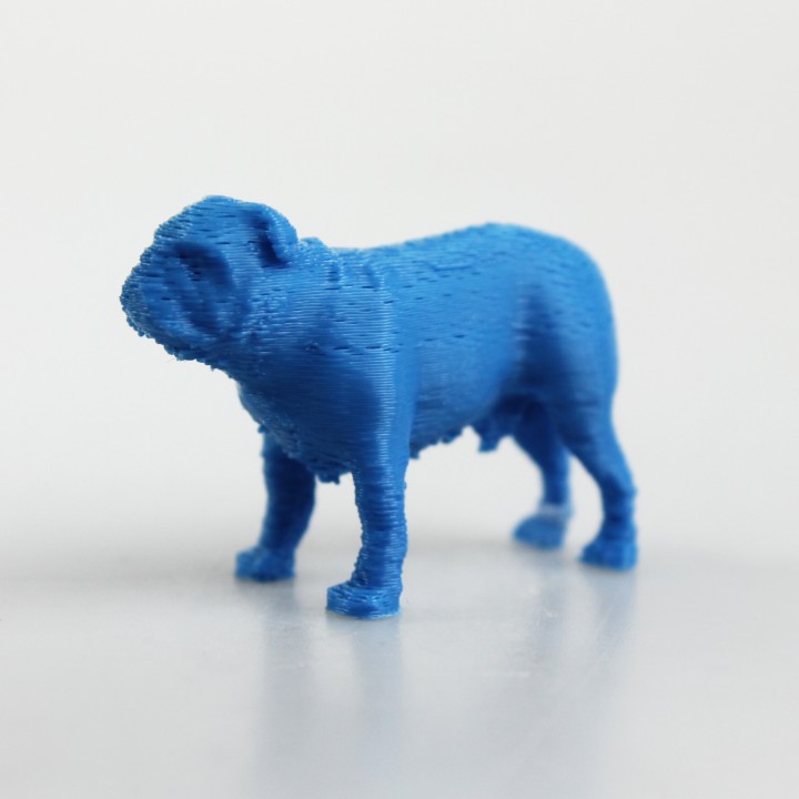 Bulldog 3D model