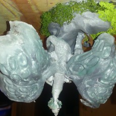 Picture of print of dragon sculpture