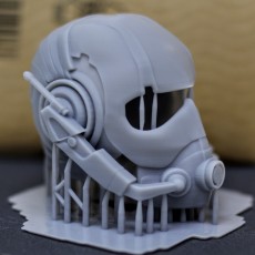 Picture of print of Ant man Mask