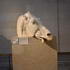 Horse Head Without Chariot - Elgin Marble at The British Museum, London image