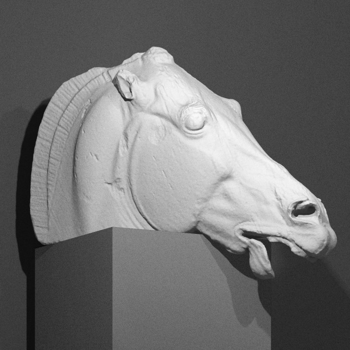 Horse Head Without Chariot - Elgin Marble at The British Museum, London
