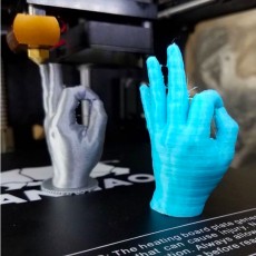 Picture of print of Hand OK