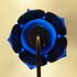 Lotus Flower Lampshade image