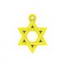 Star of David pendant image