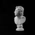 Head of Homeric Hero at The British Museum, London image