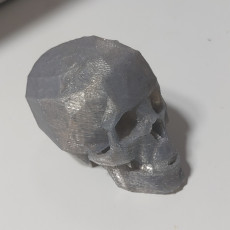 Picture of print of Skull This print has been uploaded by Kleber Jacinto