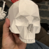 Skull with jaw print image