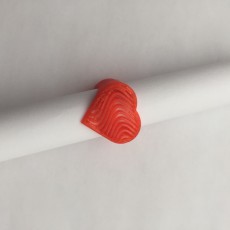Picture of print of Wave Ring
