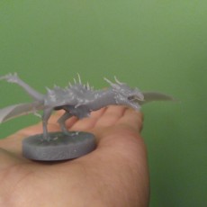 Picture of print of Dragon