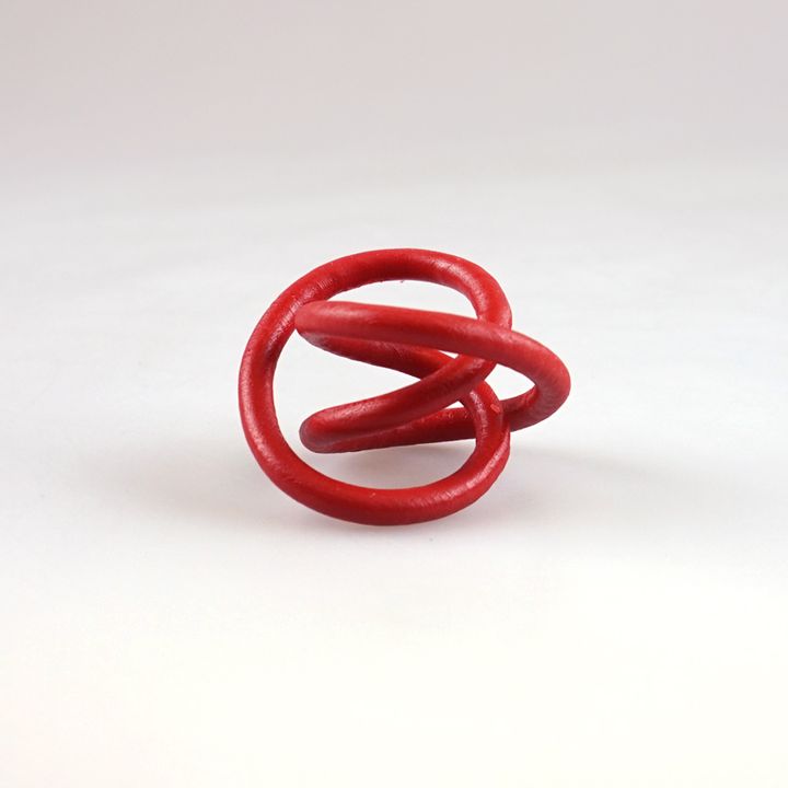 Torus Knot Ring