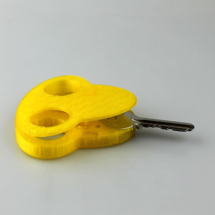 Key holder with holes image