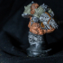 Garrosh Hellscream Bust (World of Warcraft) print image