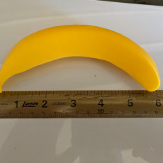 Picture of print of Banana For Scale