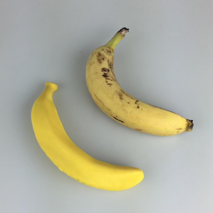 Bananas for Scale
