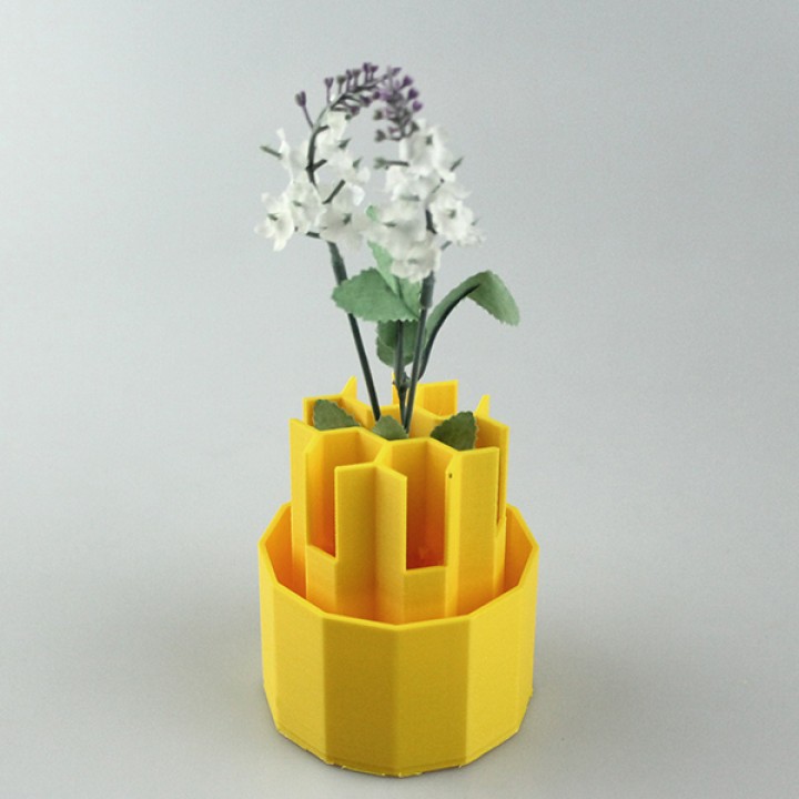 Scallion Regrower (flowers vase)