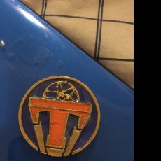 Picture of print of Tomorrowland Token