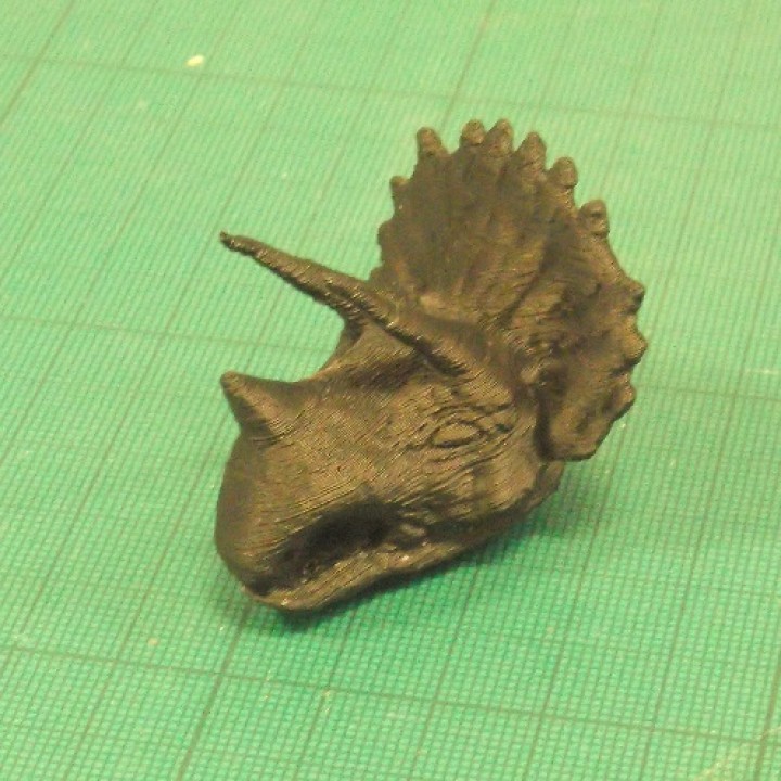 Triceratops head