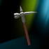 Bofur's Hammer from the Hobbit - Ballpoint Combat image