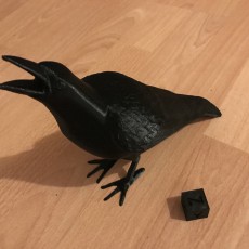 Picture of print of Crow - Support Free