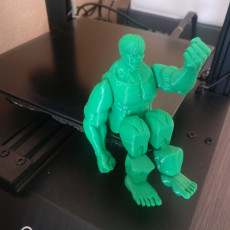 Picture of print of Hulk print-in-place This print has been uploaded by David Miguel Pinillos