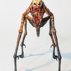 Picture of print of Alien Creature