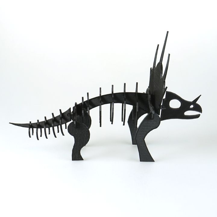 Simple Triceratops Dinosaur Skeleton
