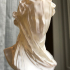 Veiled Lady at the Minneapolis Institute of Arts, USA print image