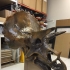 Triceratops Skull in Colorado, USA print image