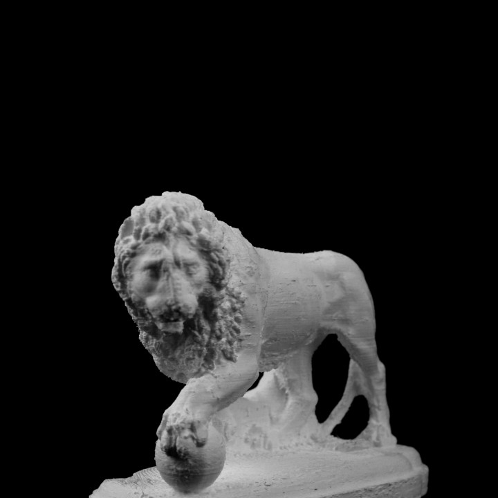 Lion in Florence, Italy