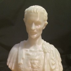 Picture of print of Julius Caesar at The Metropolitan Museum of Art, New York This print has been uploaded by Ashe Junius