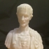 Julius Caesar at The Metropolitan Museum of Art, New York print image