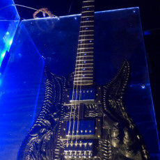 Picture of print of HR Giger Guitar This print has been uploaded by Markus Erde