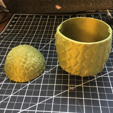 Picture of print of Dragon Egg from Game Of Thrones
