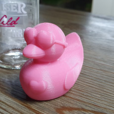 Picture of print of 3DPrinterOS Male Valentines Duck