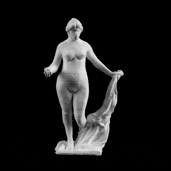 Venus Victrix at the Petit Palais, Paris