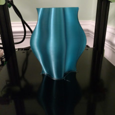 Picture of print of The Vase