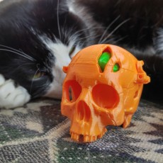 Picture of print of BONEHEADS Skull Box w/ Brain - via 3DKitbash