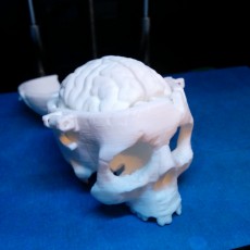 Picture of print of BONEHEADS Skull Box w/ Brain - via 3DKitbash This print has been uploaded by Andy Osier