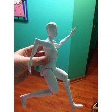 Picture of print of Articulated Figure - No Support This print has been uploaded by Evavoo